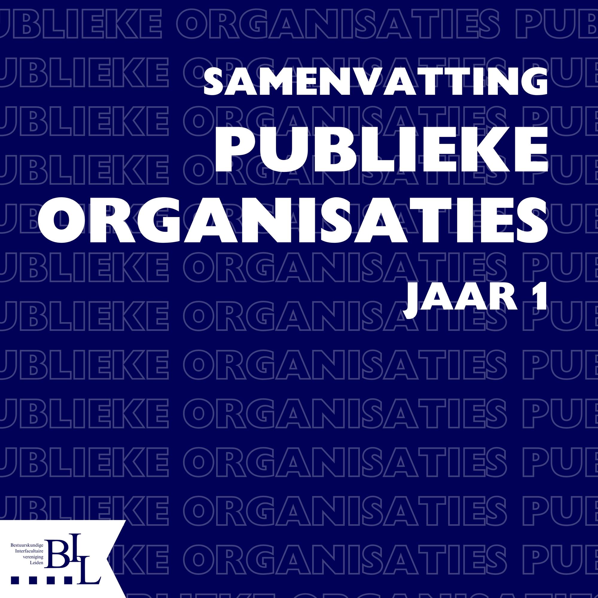 Samenvatting- Publieke Organisaties