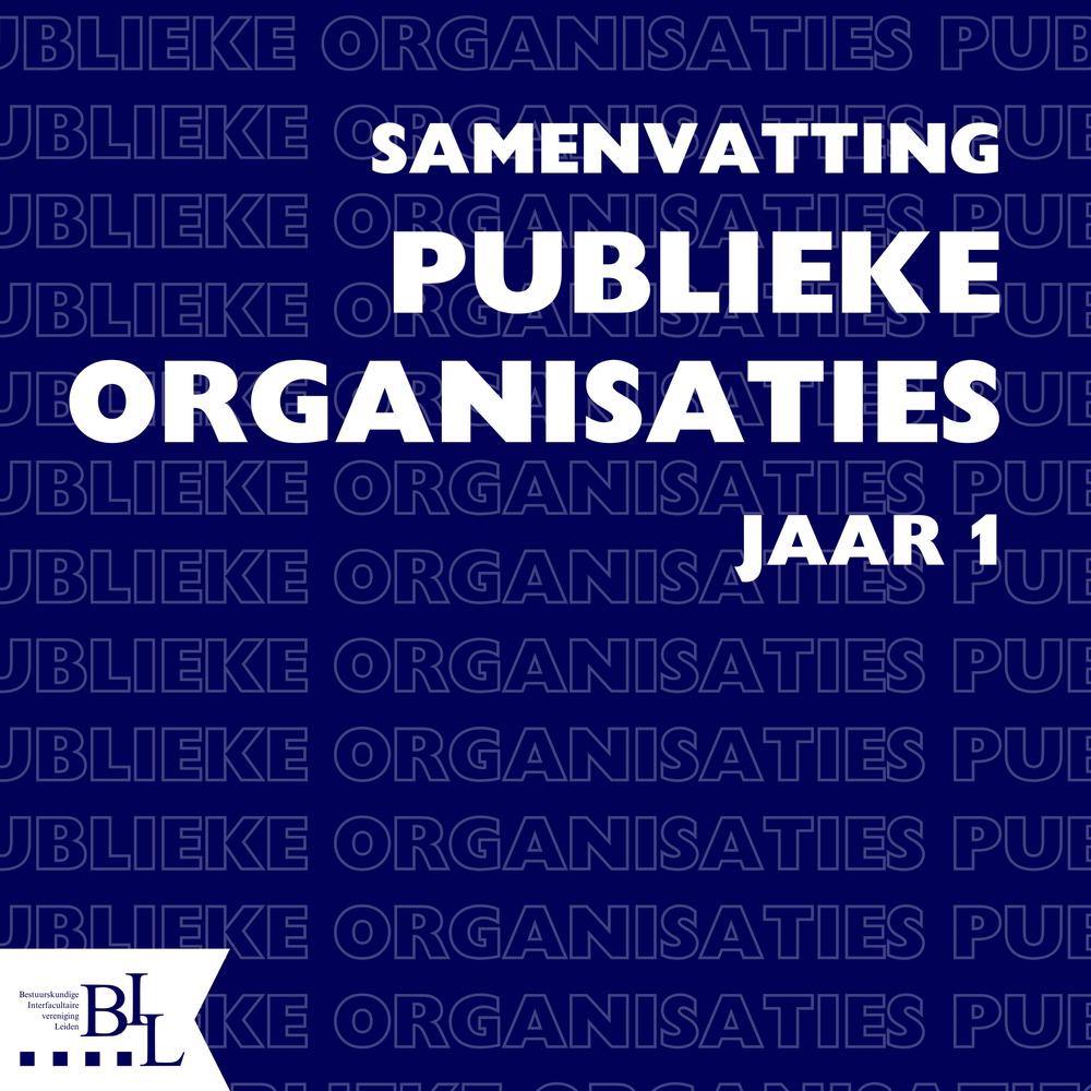 Samenvatting- Publieke Organisaties